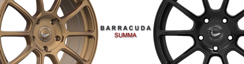 Barracuda - SUMMA